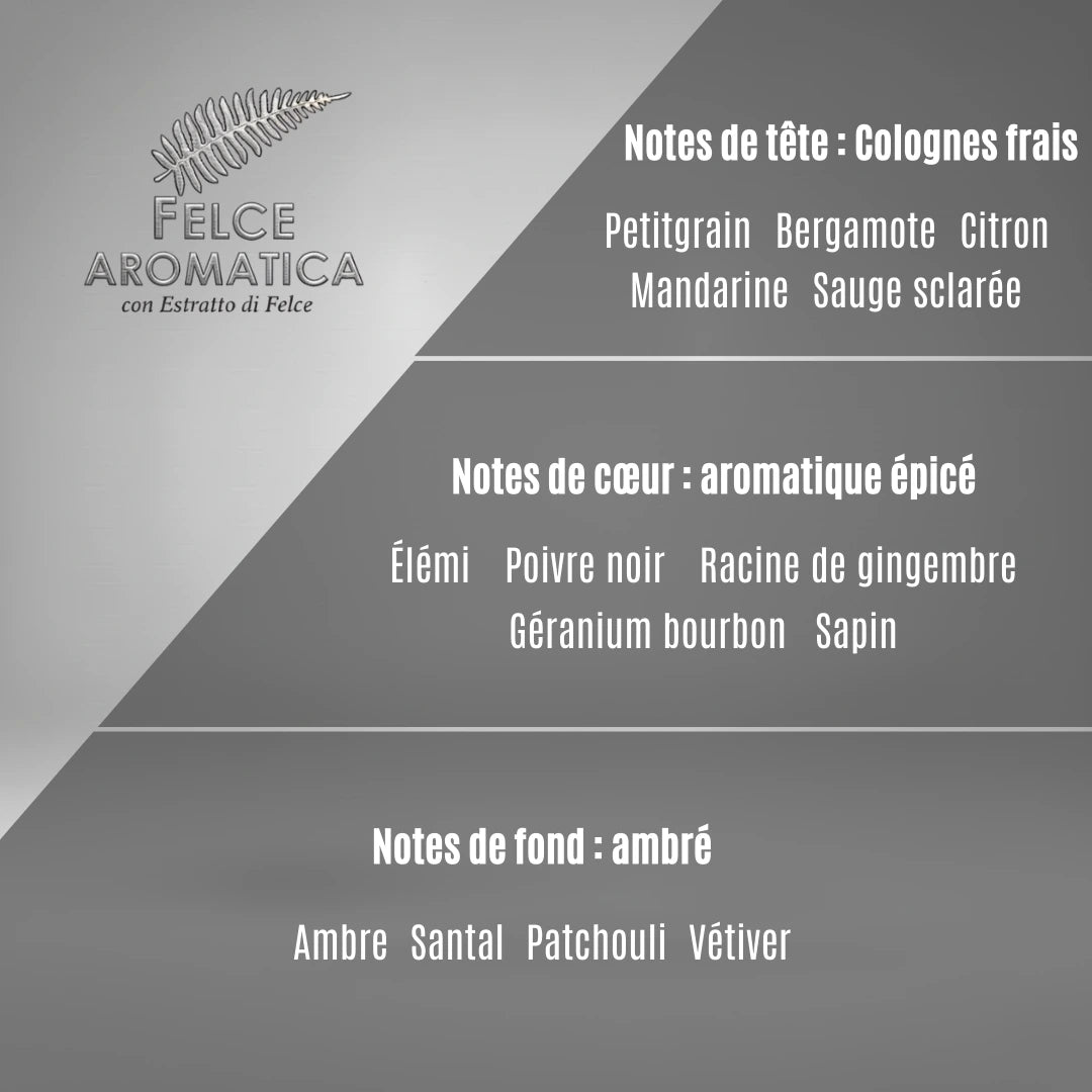 Pyramide olfactive Felce Aromatica : une ouverture de cologne fraîche (citron, mandarine), un cœur aromatique épicé (poivre noir, gingembre) et un fond ambré de santal et vétiver.
